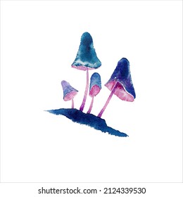watercolor mushrooms vector hand drawing illustration isolated on white background, watercolor mushroom vector illustration

