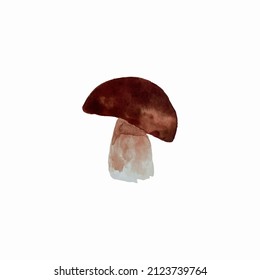 watercolor mushrooms vector illustration, hand drawing mushroom vector illustration isolated on white background