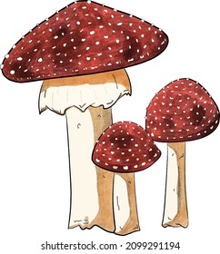 Watercolor mushrooms, Vintage Cottagecore mushrooms, Aesthetic Cottagecore