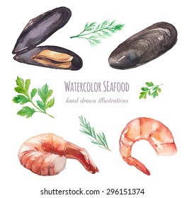 Watercolor mussels and shrimp set. Hand drawn mussel shells, shrimps, parsley, thyme, dill isolated on white background. Vector food and spices herbs illustrations