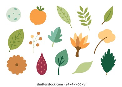 Watercolor Natural Elements set, minimal flat illustration on white background