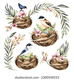 a watercolor nature birds nest vector illustration