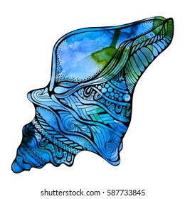 Watercolor nautilus shell closeup isolated on white background, icon, art logo design. Zen art