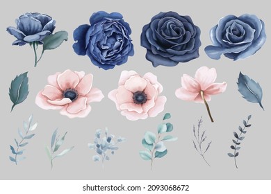 Watercolor navy blue roses and peach anemones flowers elements