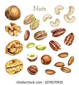 Watercolor nut collection. different types of nuts