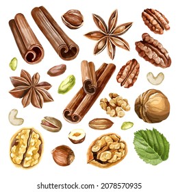 Watercolor nut collection. types of nuys with spices