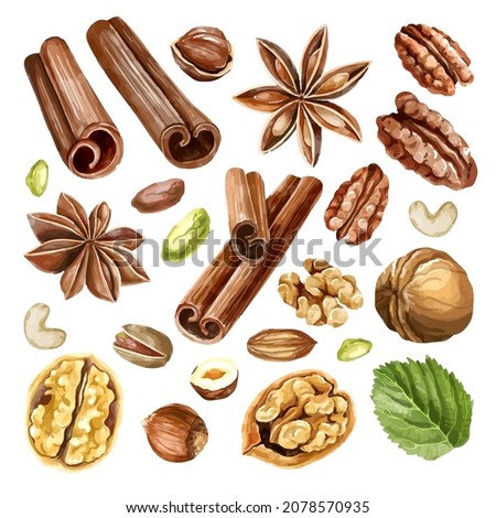 Watercolor nut collection. types of nuys with spices