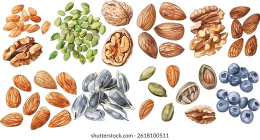 Watercolor nuts and seeds illustration. Walnuts, sunflower seeds, and almonds with realistic texture