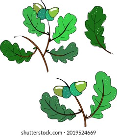 Watercolor oak leaves, twigs and acorns elements set