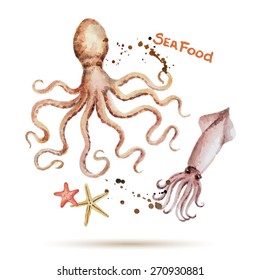 Watercolor octopus and squid. Fresh organic seafood. Vector illustration.