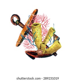 Watercolor Old Anchor, Sponge, Corals & Shell vector design template. Elegant concept for Aquarium, Nautical tourism. Vector set isolated on white background. Marine Elements for your design.