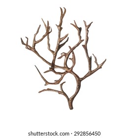 Watercolor Old Tree without leaves, isolated on white background. Bare tree, bough & snag. Vector Element for your design. Hand drawn illustration. 