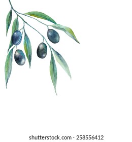 Watercolor olive branch background. Hand drawn natural vector illustration. Healthy and natural card design