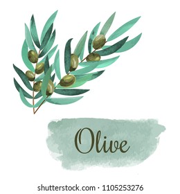 watercolor olive branch card over white background. hand drawn illustration