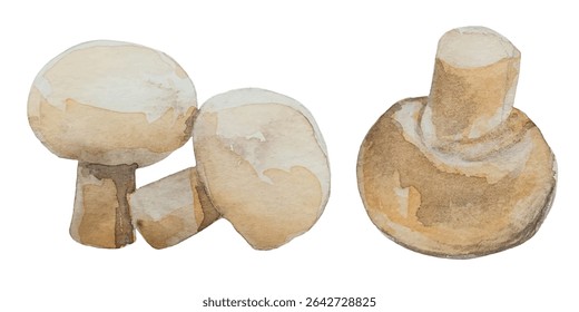 Ilustrações de vetor de cebola aquarela. Ilustrações de comida fresca ótimo para cartões, banners, cabeçalhos, cartazes de festa ou decorar seu trabalho de arte.