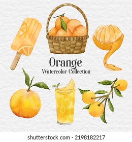 watercolor orange element clip art set collection
