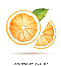 Watercolor orange  isolated on white background. Vector illustration.