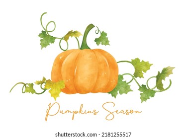 Watercolor Orange Pumpkin With Leaf And Vine Hand Drawn Painting Illustration Vector Banner