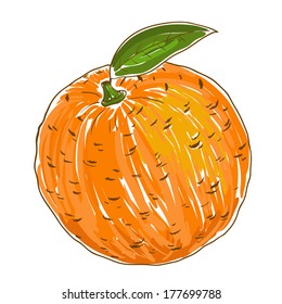 Watercolor orange in vector, isolated in white