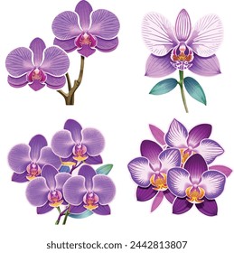 Watercolor orchid clipart featuring exotic blooms in purple and pink hues.
