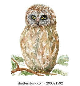 10,089 Owl watercolor Images, Stock Photos & Vectors | Shutterstock