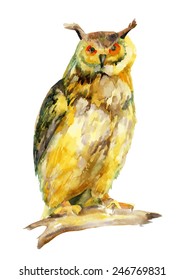 watercolor owl on a branch. Vector illustration