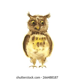 Watercolor owl. Vector.