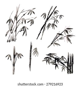 Watercolor paint bamboo, Isolated on white background.