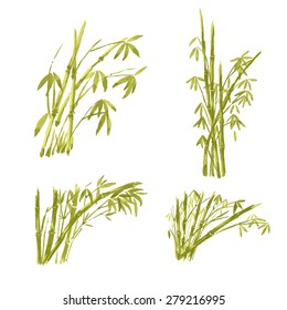 Watercolor paint bamboo, Isolated on white background.
