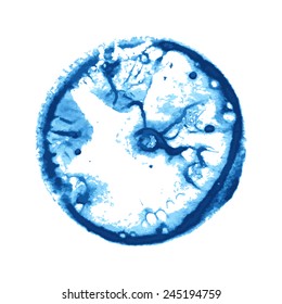 watercolor paint circle. Vector isolated