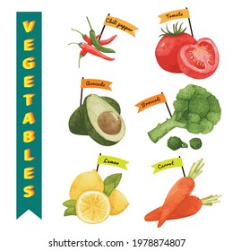 watercolor paint vegetables chili tomato avocado broccoli lemon and carrot. Print for cards, banners, posters, books, restaurants, menus, web, textiles, wrapping paper.