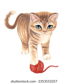 Watercolor painted cat playing with a wool toy