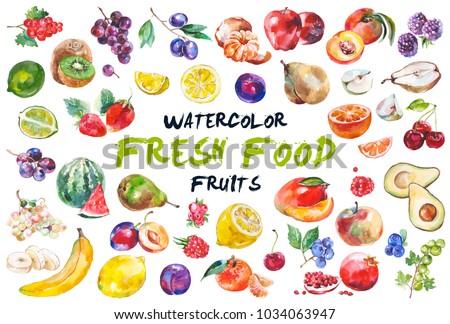 Watercolor painted collection of fruits. Hand drawn fresh food design elements isolated on white background.