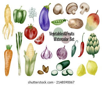 Watercolor painted collection of set of fresh vegetable and fruit watercolor painting vector isolated on white background