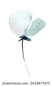 Watercolor painted delicate blue and turquoise poppy wild flower. Hand drawn illustration. Traced vector watercolour clipart drawing.