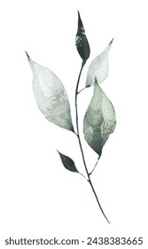 Watercolor painted floral artistic green, gray colour wild branch. Hand drawn illustration. Traced vector watercolour clipart drawing.