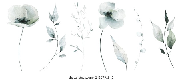 Watercolor painted floral set of black poppy, rose, ginko biloba leaves, chamomile, daisy, marigold, wild flowers. Hand drawn illustration. Traced vector watercolour clipart drawing.