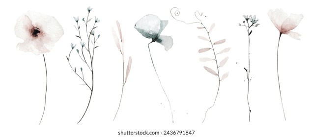 Watercolor painted floral set of black poppy, rose, ginko biloba leaves, chamomile, daisy, marigold, wild flowers. Hand drawn illustration. Traced vector watercolour clipart drawing.