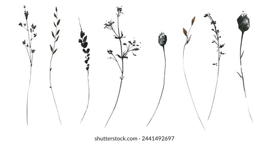 Aquarell gemalte Blumenset von schwarz, grau, braune Wildkräuter, Spikelets, Äste, Zweige. Handgezeichnete Illustration. Abgezeichnete Vektor-Aquarell-Clipart-Zeichnung.