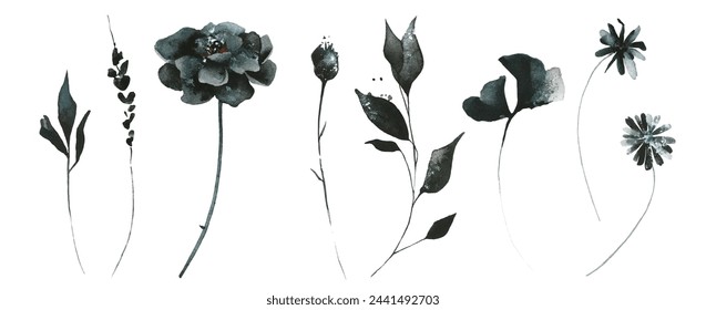 Watercolor painted floral set of black poppy, rose, ginko biloba leaves, chamomile, daisy, marigold, wild flowers. Hand drawn illustration. Traced vector watercolour clipart drawing.