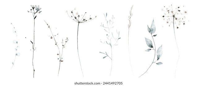 Watercolor painted floral set of blue, gray, brown dry wild herbs, spikelets, branches, twigs. Hand drawn illustration. Traced vector watercolour clipart drawing.