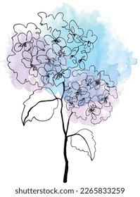 Watercolor painted flower. Hand drawn hydrangea flower. Continuous line botanical drawing. Vector set of flowers.  Freehand botanical sketch. Bush flower. Blossom branch.