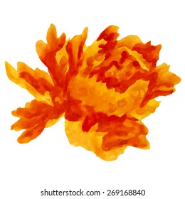 Watercolor painted flowers,vector background.