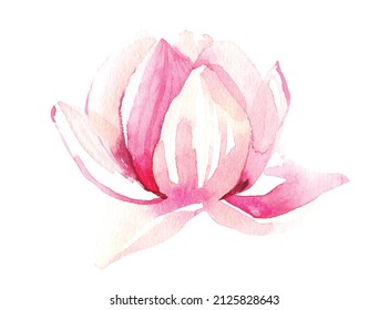  Watercolor painted light pink lotus flower. Vector traced floral isolated illustration.