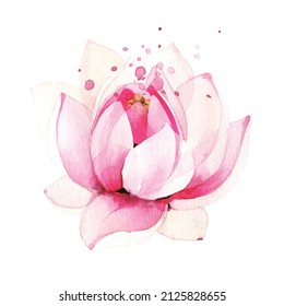  Watercolor painted light pink lotus flower. Vector traced floral isolated illustration.