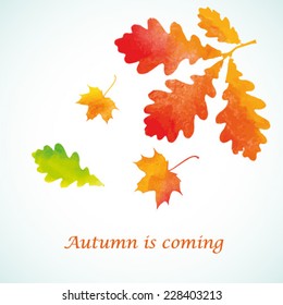 Watercolor painted orange vector leaves fall 