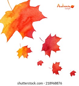 Watercolor Painted Orange Vector Maple Leaves Fall