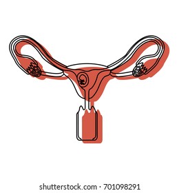 watercolor painted silhouette of female reproductive system ovaries with fetus human growth a few weeks vector illustration