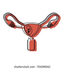 watercolor painted silhouette of female reproductive system ovaries with fetus human growth semestrer vector illustration