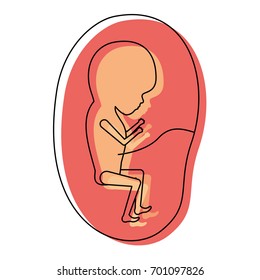watercolor painted silhouette of side view fetus human growth in placenta trimestrer vector illustration